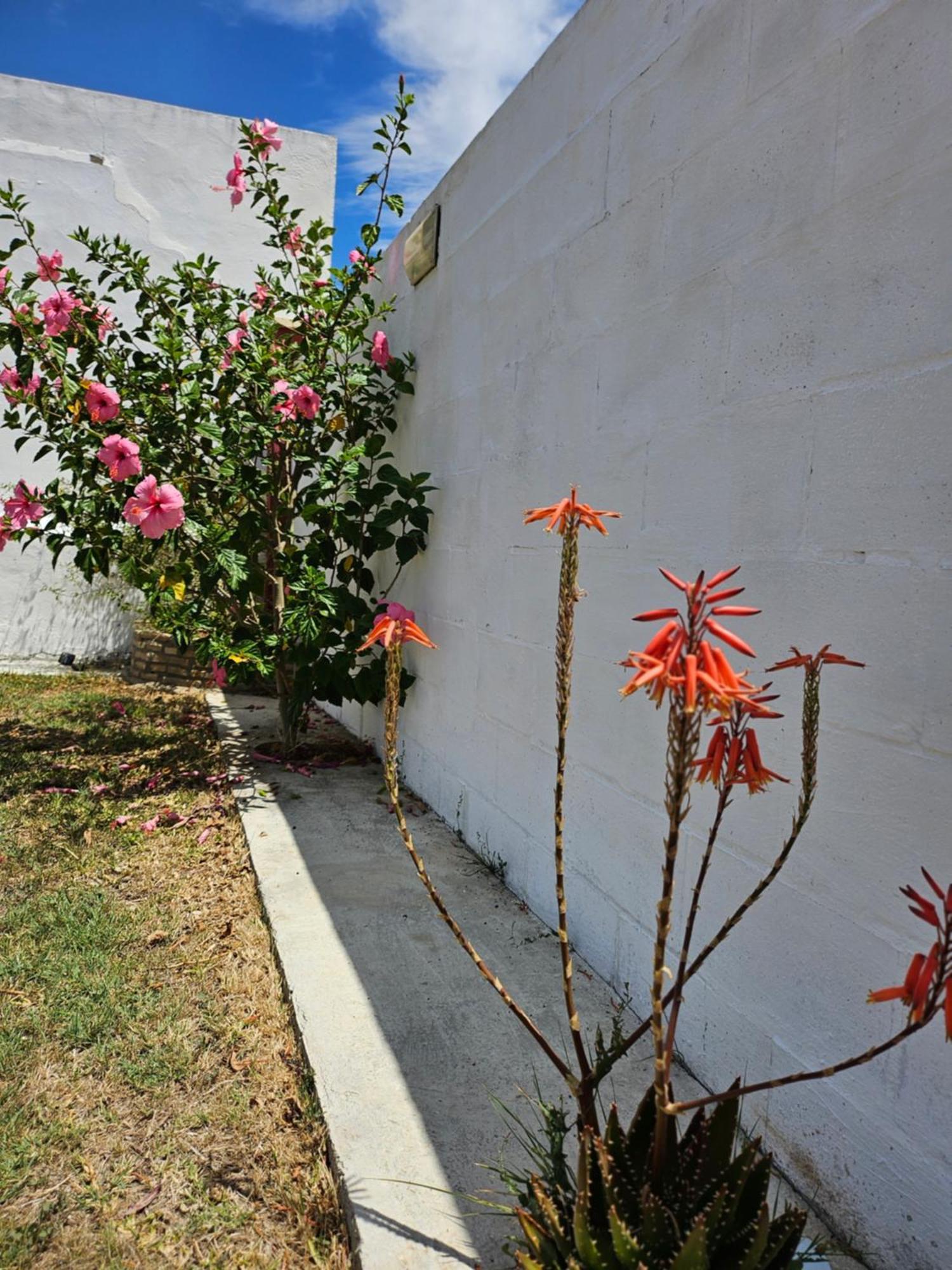 Villa Nonina Chiclana de la Frontera Kültér fotó