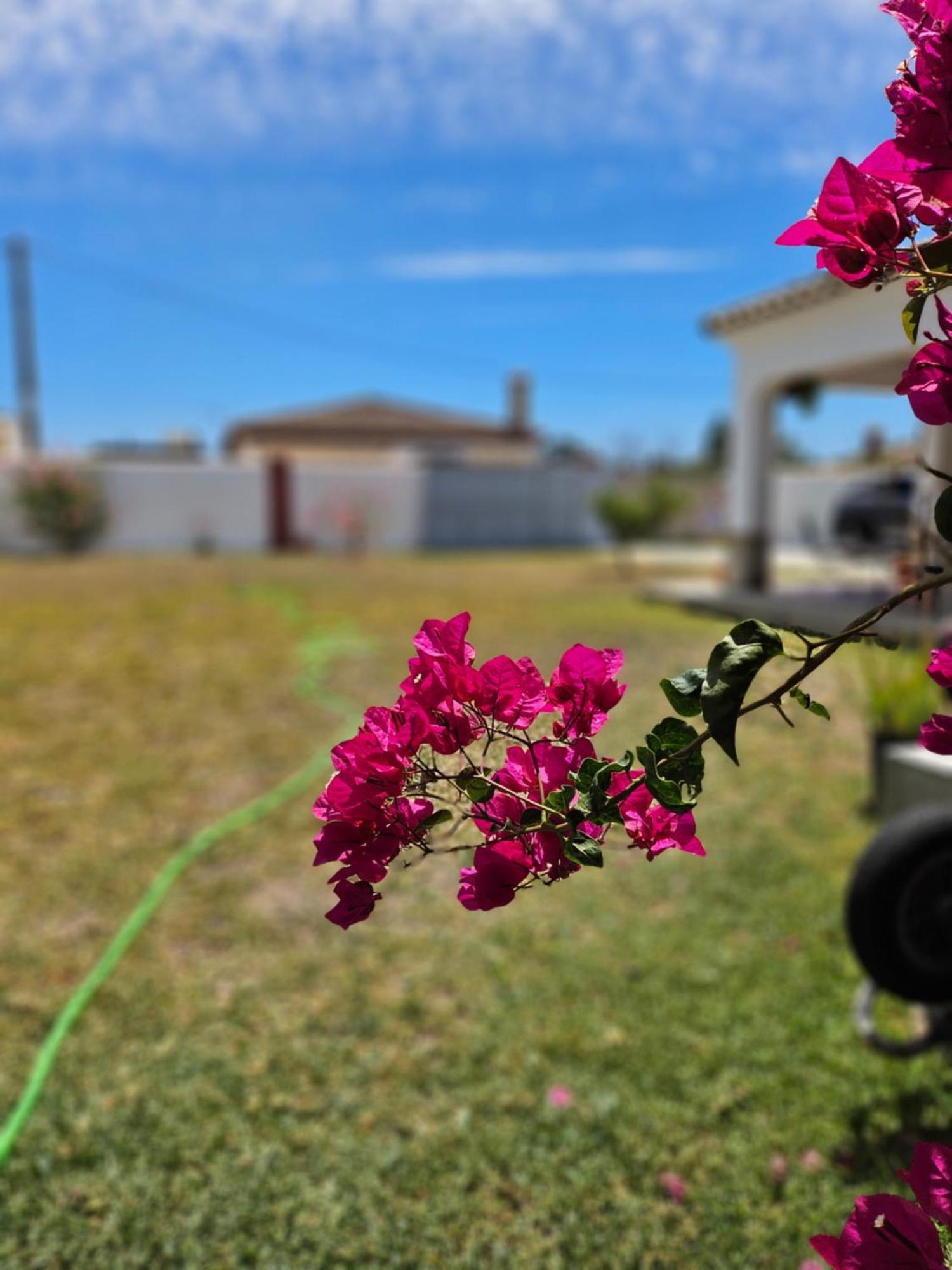 Villa Nonina Chiclana de la Frontera Kültér fotó