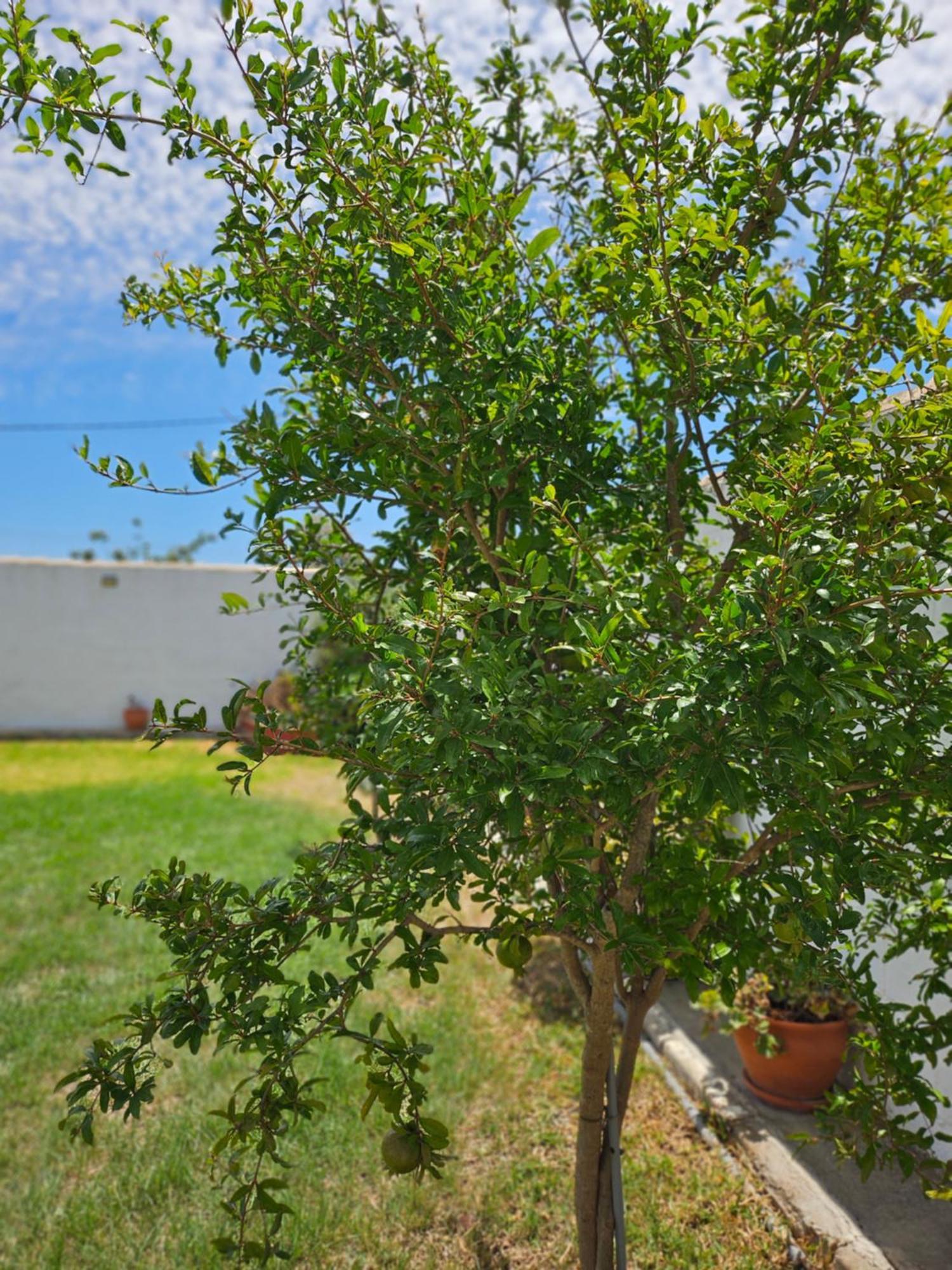 Villa Nonina Chiclana de la Frontera Kültér fotó